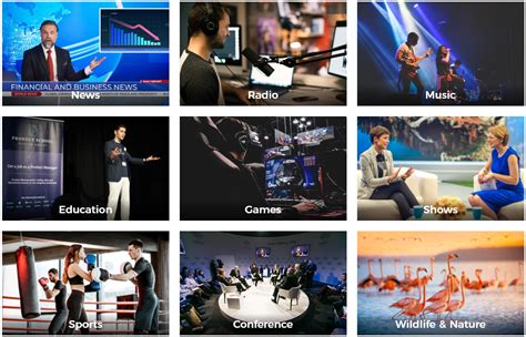 sports 24 7 live streaming.